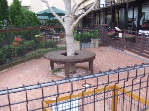 2007_0720 はる0088.jpg