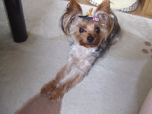 2007_0723 はる0058.jpg