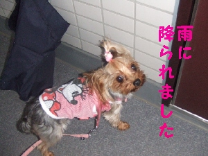 2007_0726 はる0054.jpg