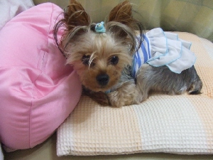 2007_0726 はる0066.jpg