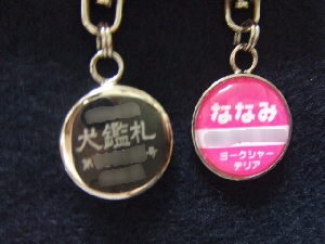2007_0727 はる0073.jpg