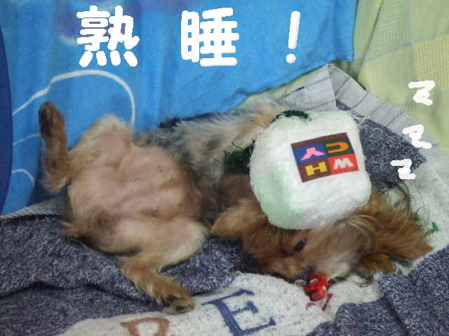2007_0728 はる0140.jpg