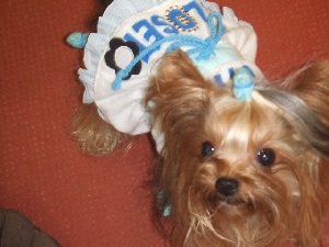 2007_0729 はる0061.jpg