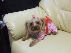 2007_0804 はる0056.jpg