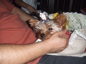 2007_0804 はる0073.jpg