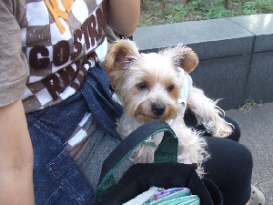 2007_0928 はる0128.jpg
