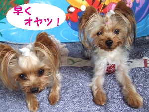2007_1004 はる0059.jpg