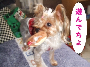 2007_1004 はる0072.jpg