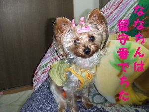 2007_1024 はる0156.jpg