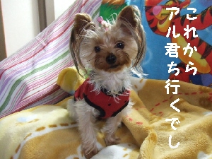 2007_1027 はる0051.jpg