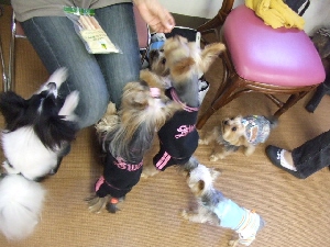 2007_1028 はる0079.jpg