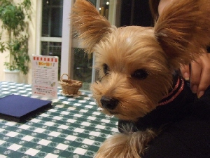 2007_1028 はる0110.jpg