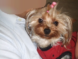 2007_1104 はる0058.jpg