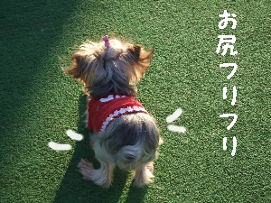 2007_1122 はる0081.jpg