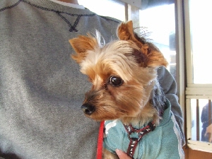 2007_1124 はる0127.jpg