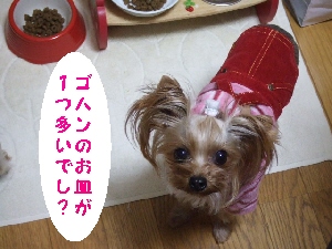 2007_1128 はる0054.jpg