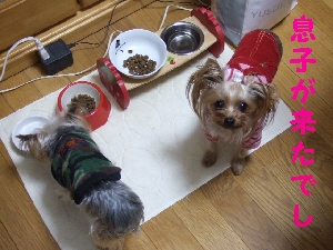 2007_1128 はる0055.jpg