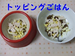 2007_1209 はる0084.jpg