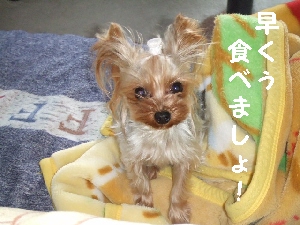 2007_1210 はる0066.jpg