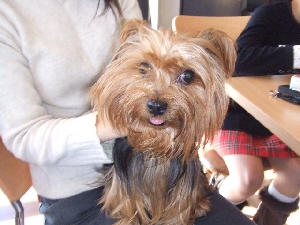 2007_1216 はる0053.jpg