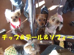 2007_1216 はる0060.jpg