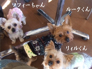 2007_1216 はる0061.jpg