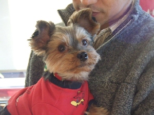 2007_1216 はる0066.jpg