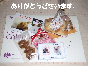 2007_1216 はる0082.jpg