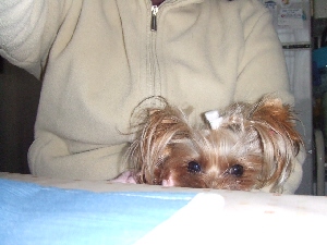 2007_1218 はる0049.jpg