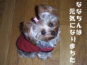 2007_1218 はる0054.jpg