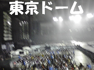 2008 0926 はる0002.jpg