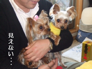 2008_0103 はる0045.jpg