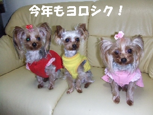 2008_0103 はる0063.jpg