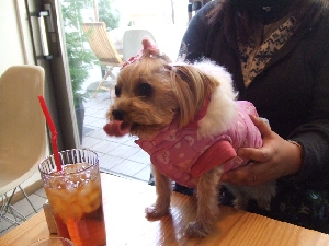2008_0106 はる0054.jpg