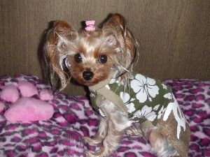 2008_0107 はる0057.jpg