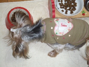 2008_0114 はる0067.jpg