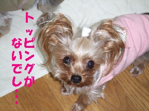 2008_0114 はる0069.jpg