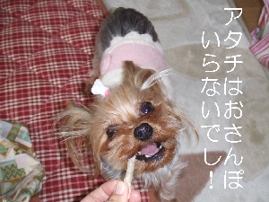 2008_0118 はる0053.jpg
