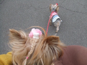 2008_0122 はる0053.jpg