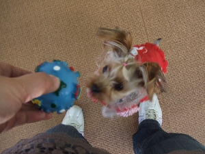 2008_0125 はる0051.jpg