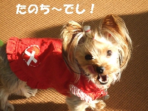 2008_0125 はる0065.jpg