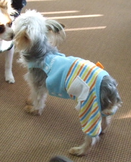 2008_0126 はる0039.jpg