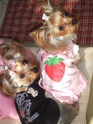 2008_0130 はる0050.jpg
