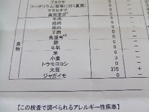 2008_0131 はる0048.jpg