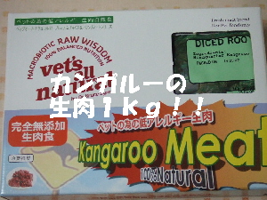 2008_0317 はる0040.jpg