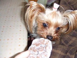 2008_0324 はる0046.jpg