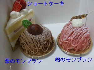 2008_0328 はる0064.jpg