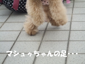 2008_0330 はる0053.jpg