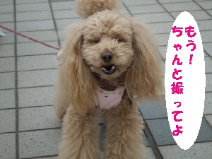 2008_0330 はる0054.jpg