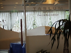 2008_0330 はる0064.jpg